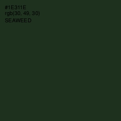 #1E311E - Seaweed Color Image