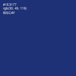 #1E3177 - Biscay Color Image