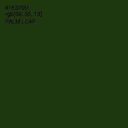 #1E370D - Palm Leaf Color Image