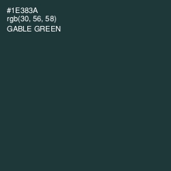 #1E383A - Gable Green Color Image