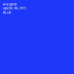 #1E38FB - Blue Color Image