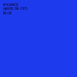 #1E3AED - Blue Color Image