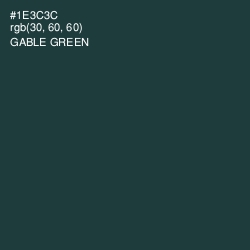 #1E3C3C - Gable Green Color Image