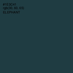 #1E3C41 - Elephant Color Image