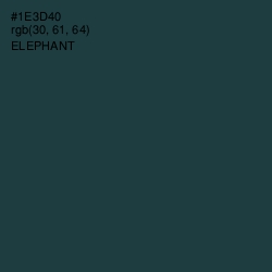 #1E3D40 - Elephant Color Image