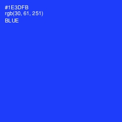 #1E3DFB - Blue Color Image