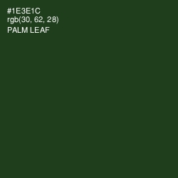 #1E3E1C - Palm Leaf Color Image