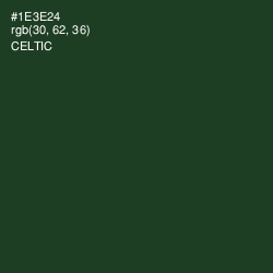 #1E3E24 - Celtic Color Image