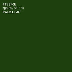 #1E3F0E - Palm Leaf Color Image