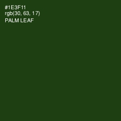 #1E3F11 - Palm Leaf Color Image