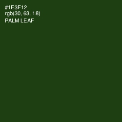 #1E3F12 - Palm Leaf Color Image