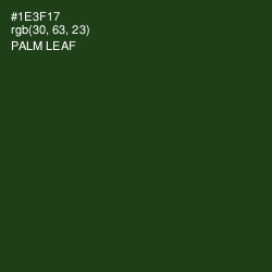 #1E3F17 - Palm Leaf Color Image