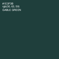 #1E3F3B - Gable Green Color Image