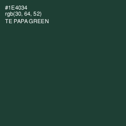 #1E4034 - Te Papa Green Color Image
