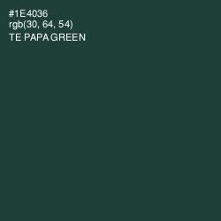 #1E4036 - Te Papa Green Color Image