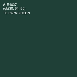 #1E4037 - Te Papa Green Color Image