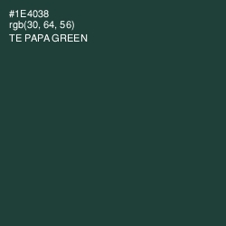 #1E4038 - Te Papa Green Color Image