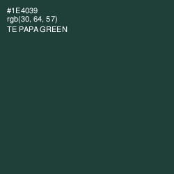 #1E4039 - Te Papa Green Color Image