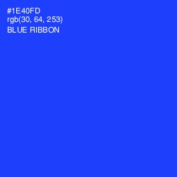 #1E40FD - Blue Ribbon Color Image