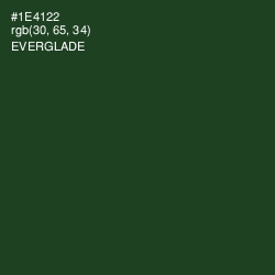 #1E4122 - Everglade Color Image