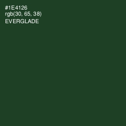 #1E4126 - Everglade Color Image