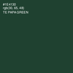 #1E4130 - Te Papa Green Color Image