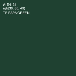 #1E4131 - Te Papa Green Color Image