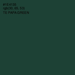 #1E4135 - Te Papa Green Color Image