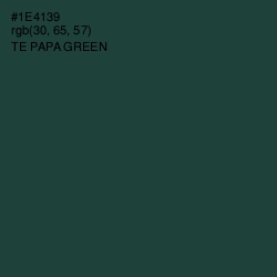 #1E4139 - Te Papa Green Color Image