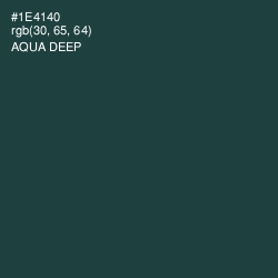 #1E4140 - Aqua Deep Color Image