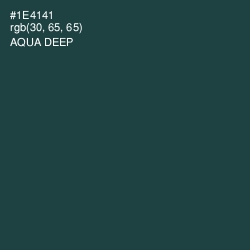 #1E4141 - Aqua Deep Color Image