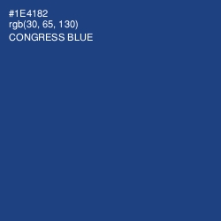 #1E4182 - Congress Blue Color Image