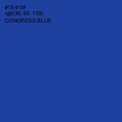 #1E419F - Congress Blue Color Image