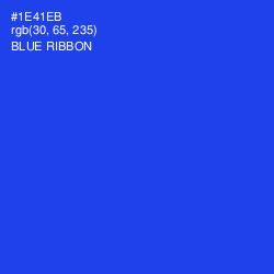 #1E41EB - Blue Ribbon Color Image