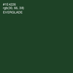 #1E4226 - Everglade Color Image