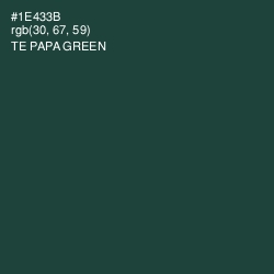 #1E433B - Te Papa Green Color Image