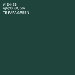 #1E443B - Te Papa Green Color Image