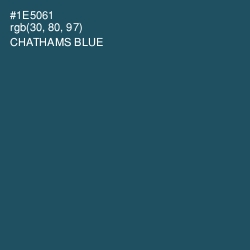 #1E5061 - Chathams Blue Color Image