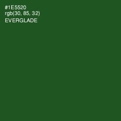 #1E5520 - Everglade Color Image