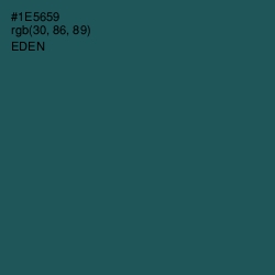 #1E5659 - Eden Color Image