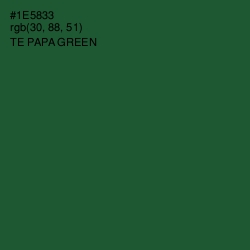 #1E5833 - Te Papa Green Color Image