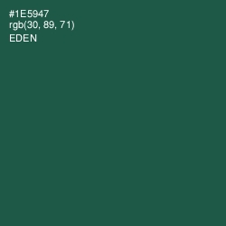 #1E5947 - Eden Color Image