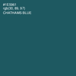 #1E5961 - Chathams Blue Color Image