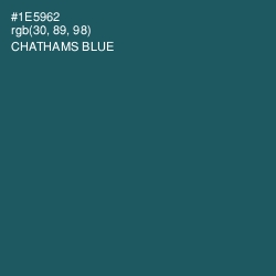 #1E5962 - Chathams Blue Color Image