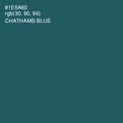 #1E5A60 - Chathams Blue Color Image