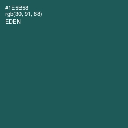 #1E5B58 - Eden Color Image