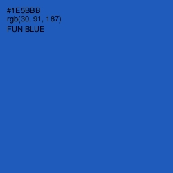 #1E5BBB - Fun Blue Color Image