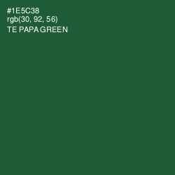 #1E5C38 - Te Papa Green Color Image