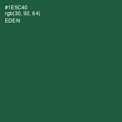 #1E5C40 - Eden Color Image