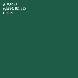#1E5C48 - Eden Color Image
